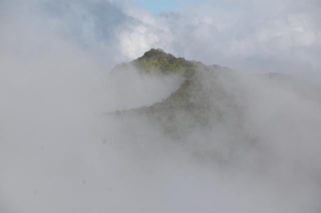 DSC_0079