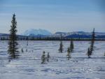 IMG_3852
