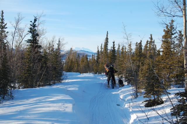 DSC_0309