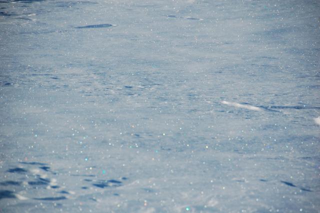 DSC_0315