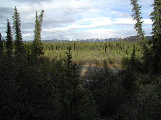 p5280008