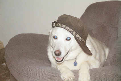 Yo 'Tack. Moose Mountain.