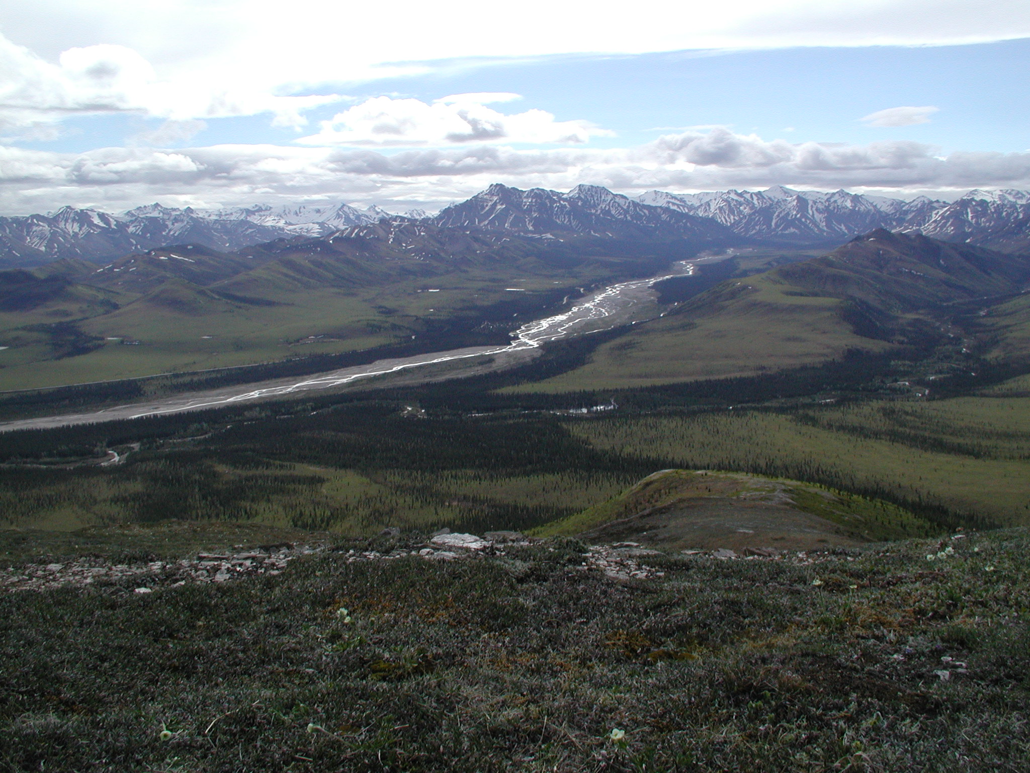 p5290025