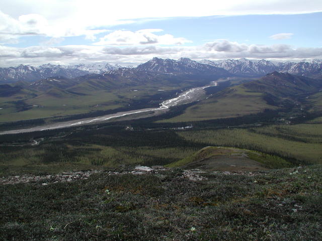 p5290025