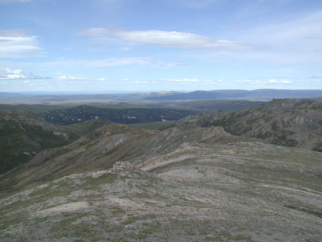 p5290036