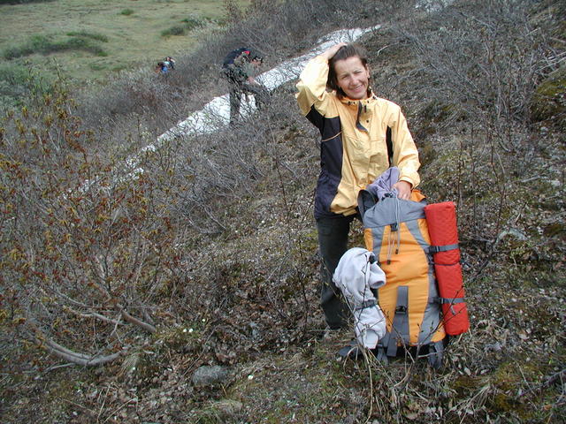 p5290039