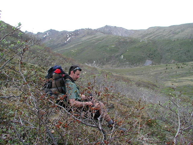 p5290042