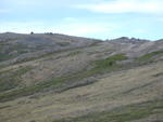 p5290043