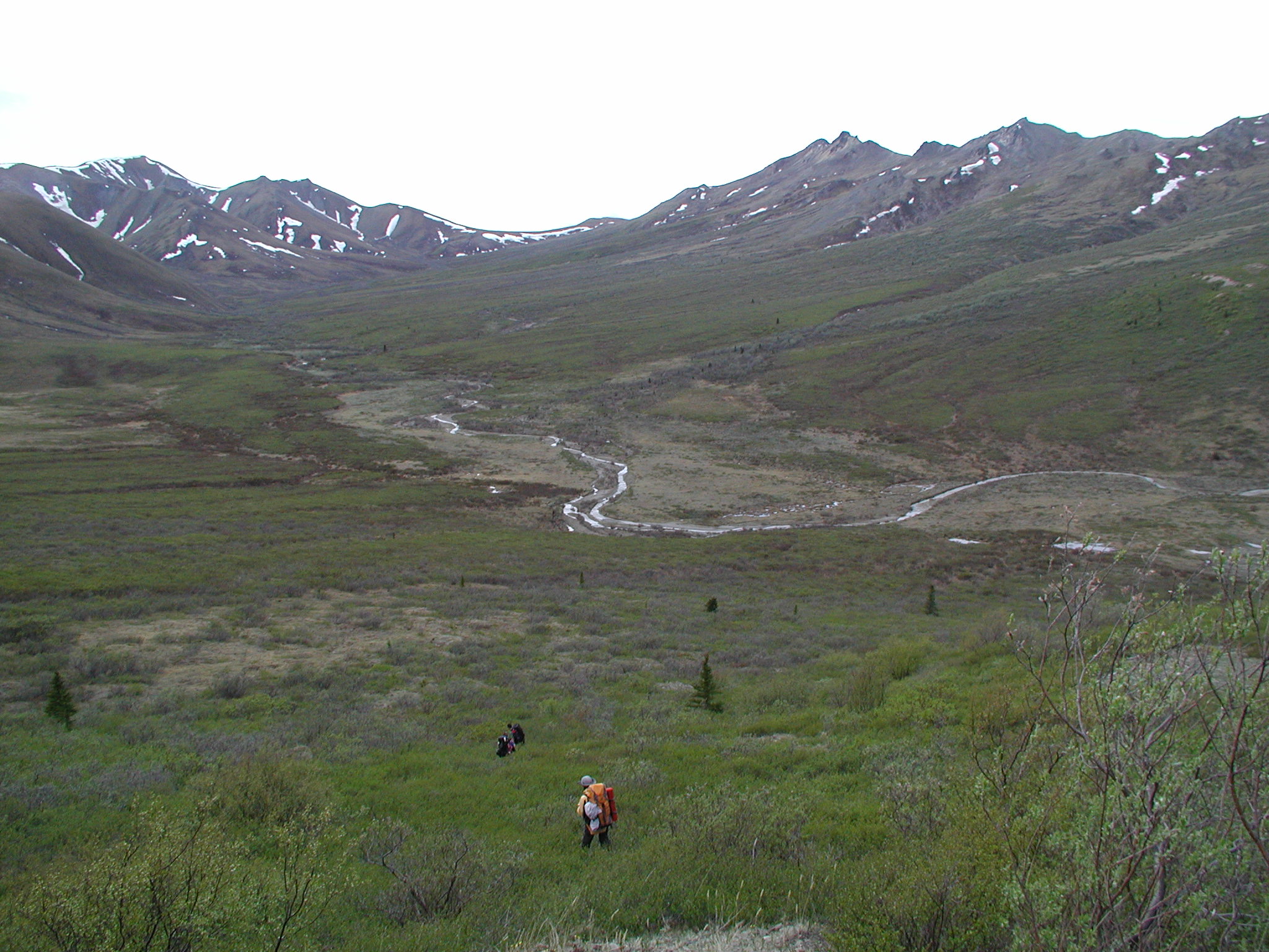 p5290044