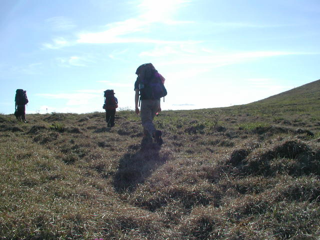 p5300064