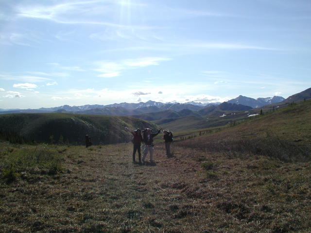 p5300066