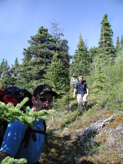 p5300067