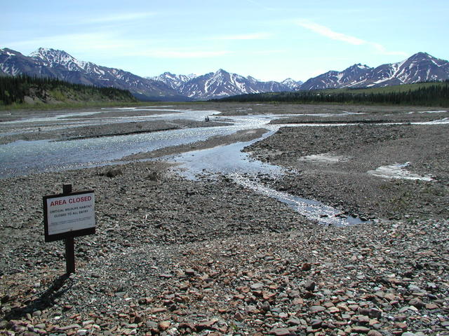 p5300081
