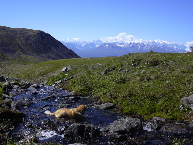 dscn0406