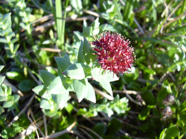dscn0423