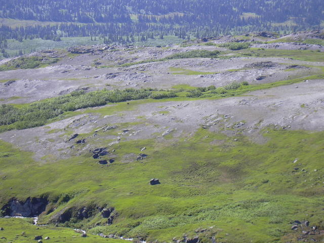 dscn0429
