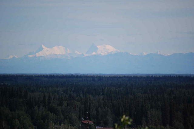 DSC_0074