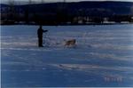 Skijoring with Kenai.